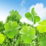 幸せは人生の微分で求められる