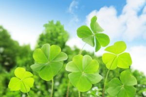 幸せは人生の微分で求められる