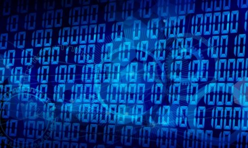 アイナメチヌオのインド旅行記_オーパーツ_アショカピラー錆びない鉄柱