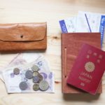 アイナメチヌオのインド旅行記_アショカピラーを見てデリーから帰国