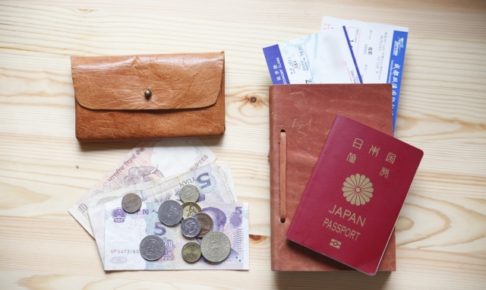 アイナメチヌオのインド旅行記_アショカピラーを見てデリーから帰国