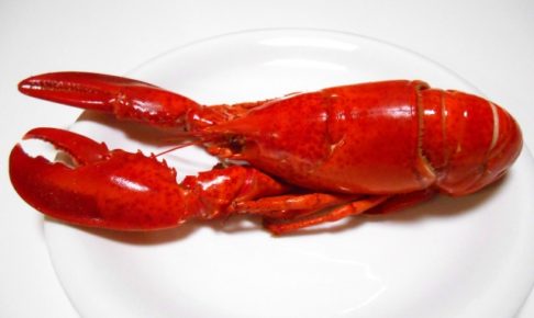 フィッシャーマンズワーフ_サンフランシスコ_アイナメチヌオのアメリカ西海岸縦断旅行記