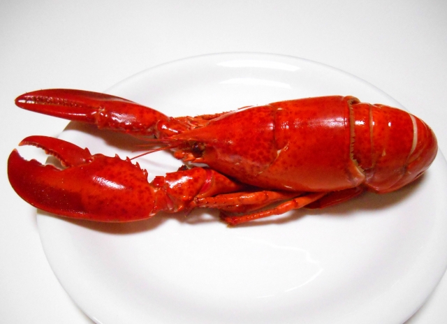 フィッシャーマンズワーフ_サンフランシスコ_アイナメチヌオのアメリカ西海岸縦断旅行記